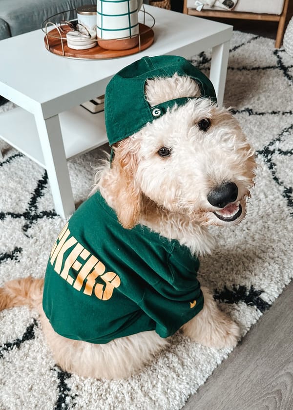 NFL MNF Rams vs Packers: Props for fun - Pick your Props
